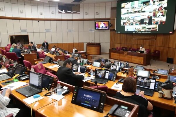 Una comisión del Senado analiza ascenso de comisario Bonussi Giménez - Política - ABC Color