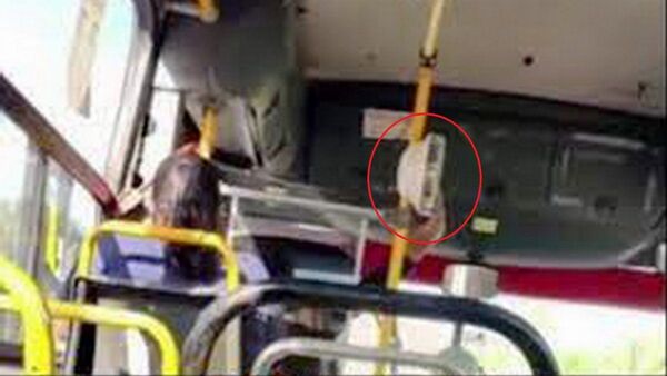 Urgen que la Justicia castigue mafia del transporte público