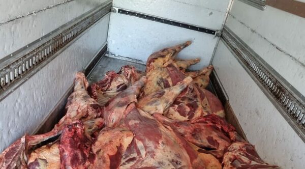 Retienen camión con 978 kilos de carne en Nanawa