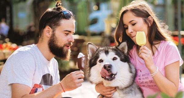 ¿Cuáles son los nuevos desafíos en el mercado del helado?