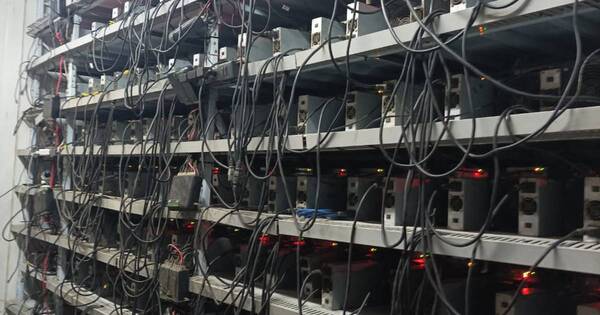 La Nación / En el Este allanaron granja de criptomonedas que causó pérdida de G. 1.500 millones a la Ande
