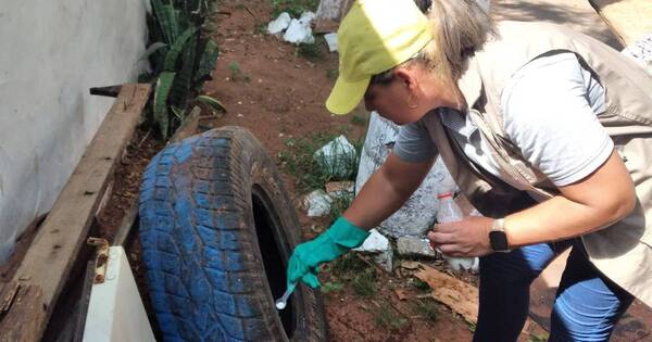 La Nación / Piden limpiar criaderos para frenar el chikungunya y evitar aparición del zika