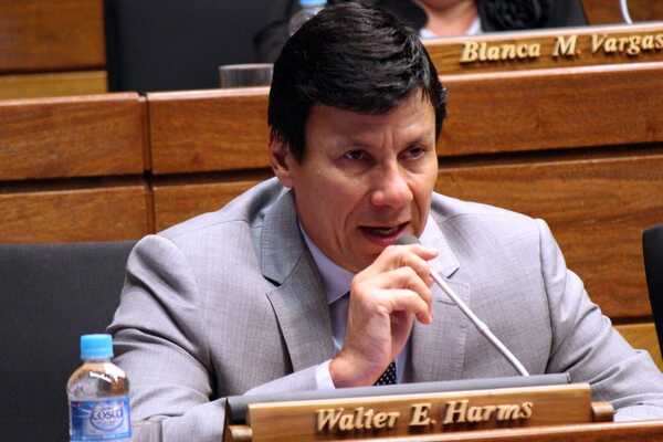 Walter Harms afirma que sus ausencias en Diputados son por problemas de salud de su esposa