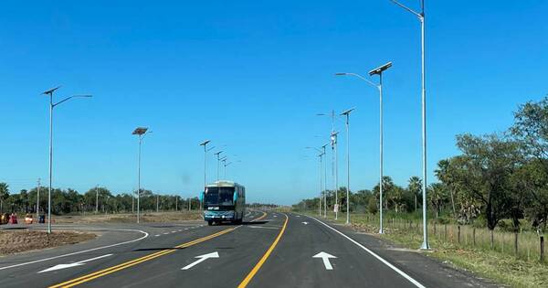 La Nación / Más de 10.000 plantines de árboles plantados suman en un tramo importante de la Transchaco