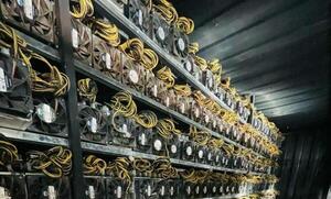 Perdida de G. 1.500 millones, es lo que dejó Granja de cripto. – Prensa 5