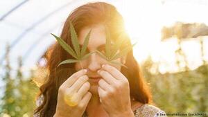 Alemania planea legalizar el consumo de cannabis, con límites