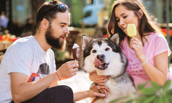 Celebran el día del helado con nuevas tendencias en el mercado
