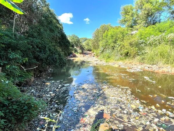 Alto nivel de contaminación pone en riesgo la fauna íctica del río Paraguay - Nacionales - ABC Color