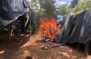 Destruyen 12 toneladas de marihuana en Yby Yaú - Megacadena — Últimas Noticias de Paraguay