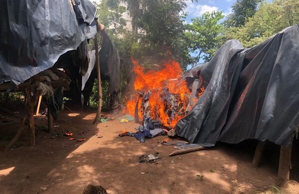 Destruyen 12 toneladas de marihuana en Yby Yaú - Megacadena — Últimas Noticias de Paraguay