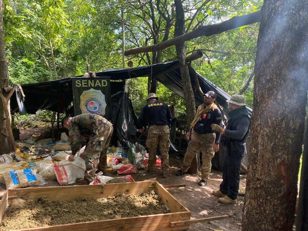 Campamentos narcos con generadores de electricidad: 12 t de marihuana incautadas