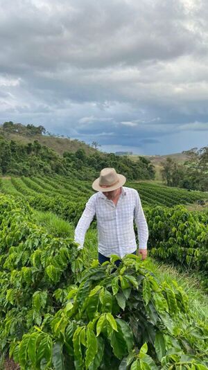 ¡Larga vida al café de especialidad!