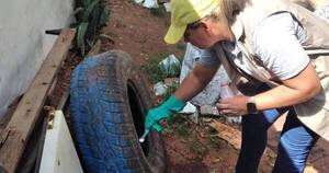 La Nación / Piden limpiar los criaderos para frenar el chikungunya