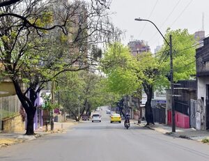 Fiscalía ignoró millonario pago de Jiménez Gaona por metrobús “fantasma” del centro - Economía - ABC Color