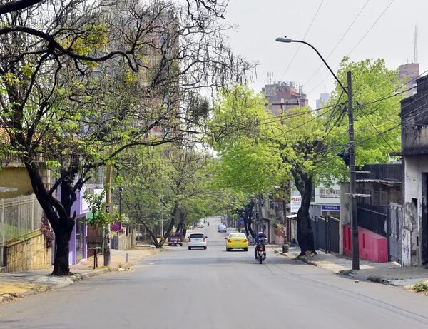 Fiscalía ignoró millonario pago de Jiménez Gaona por metrobús “fantasma” del centro - Economía - ABC Color