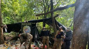 Campamentos narcos con generadores de electricidad: 12 toneladas de marihuana incautadas - Oasis FM 94.3