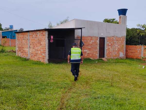 Delincuentes roban hasta un gato durante hurto domiciliario - La Clave