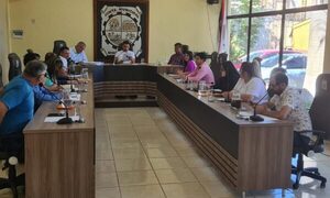 Concejales de Minga Guazú exigen documentos a intendente Diego Ríos
