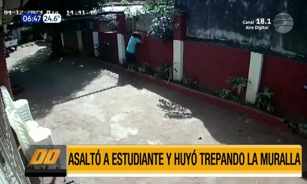 Asaltó a estudiantes, trepó murallas y fue detenido | Telefuturo