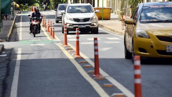 Nenecho ahora apunta a eliminar bicisenda en calle Palma
