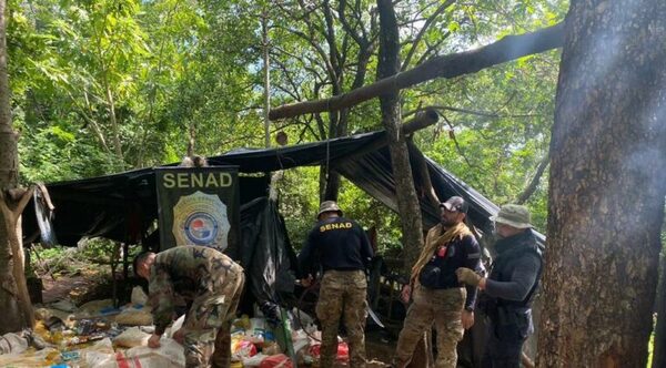 CAMPAMENTOS NARCOS CON GENERADORES DE ELECTRICIDAD - La Voz del Norte