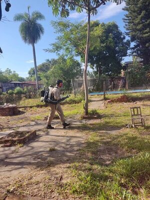 Numerosos casos de dengue y chikunguña en Ayolas tras la Semana Santa - Nacionales - ABC Color