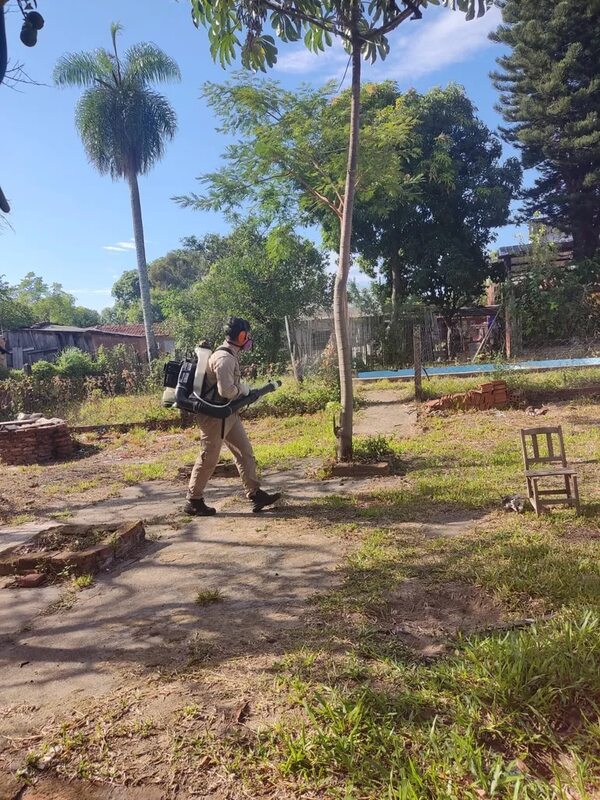 Numerosos casos de dengue y chikunguña en Ayolas tras la Semana Santa - Nacionales - ABC Color