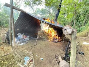 Detectan dos campamentos narcos con 10 toneladas de marihuana en Amambay - Policiales - ABC Color