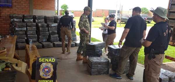 Incautan más de 4.200 kilos de marihuana en reserva natural - C9N