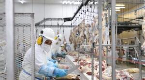 Sector cárnico paraguayo se compromete a ofrecer productos de calidad para enviar a EE.UU – Prensa 5