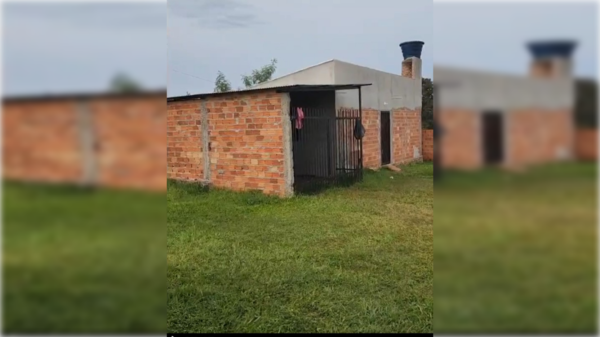 Ladrones se llevan ¡hasta el gato de una familia!