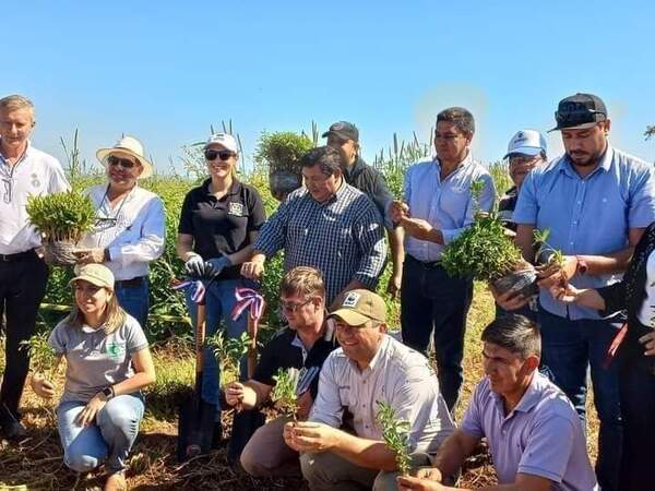 Gobierno Departamental de Itapúa lidera iniciativa para preservar espacios verdes