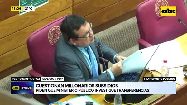 Video: Cuestionan millonarios subsidios - ABC Noticias - ABC Color