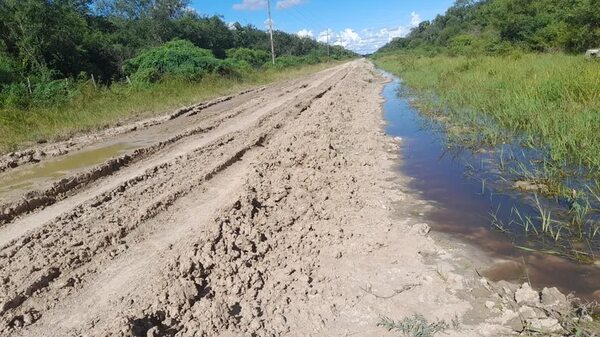 Ganaderos se suman a la reparación de caminos en Alto Paraguay - Noticias del Chaco - ABC Color
