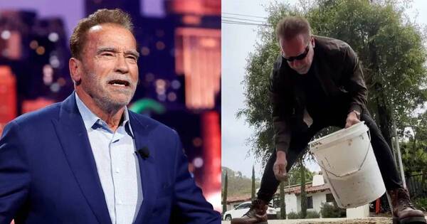 La Nación / Del cine a la construcción: Schwarzenegger reparó un bache en la vía pública
