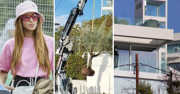 Shakira llevó hasta el árbol de su ex casa de Barcelona