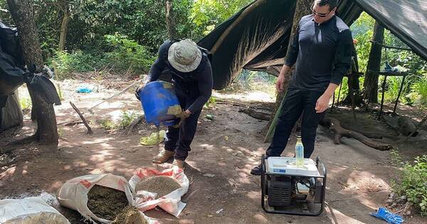 La Nación / Concepción: destruyen 12 toneladas de droga y detienen a cuatro personas en un campamento