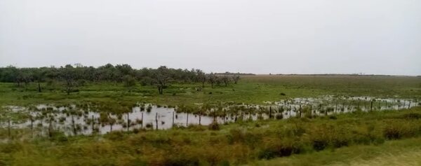 Lluvia trae alivio a productores de Ñeembucú - Economía - ABC Color