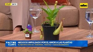 Video: Negocio impulsado por el amor a las plantas - Factor Clave - ABC Color