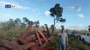 Detienen a indígenas por tala indiscriminada de árboles en PJC - Noticias Paraguay