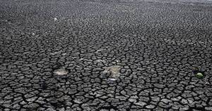 La Nación / El cambio climático favorece las “sequías repentinas”, afirman estudios
