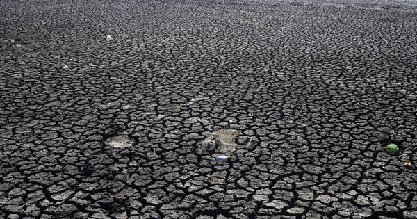 La Nación / El cambio climático favorece las “sequías repentinas”, afirman estudios