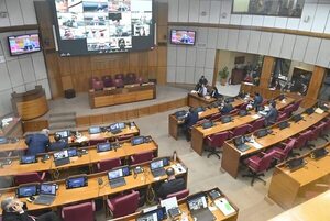 Fracasa intención de cartistas y aliados de derogar donación europea antes de las elecciones - Política - ABC Color