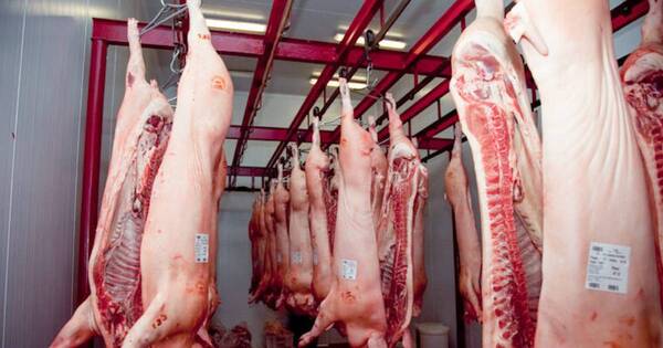 La Nación / Taiwán adquirió carne a mejor precio en marzo