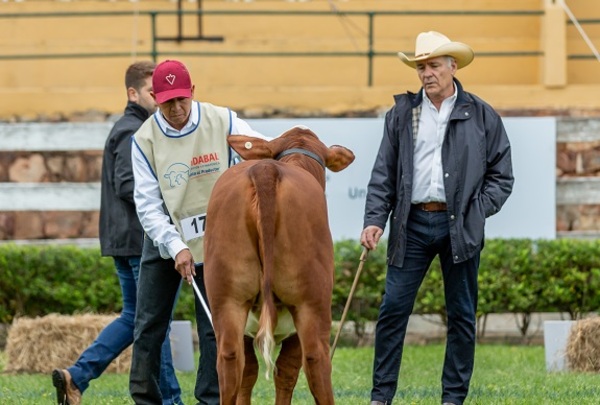 “Debemos buscar un animal que se comporte cada vez más en nuestro campo”