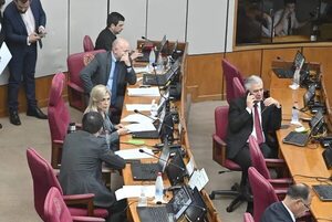 Senado modifica ley que reglamenta el pedido de informes - Política - ABC Color