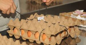 La Nación / El 54% de los productos de la canasta familiar subió