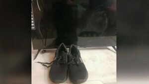 Delincuentes chocaron y volcaron tras robar un calzado y una tele