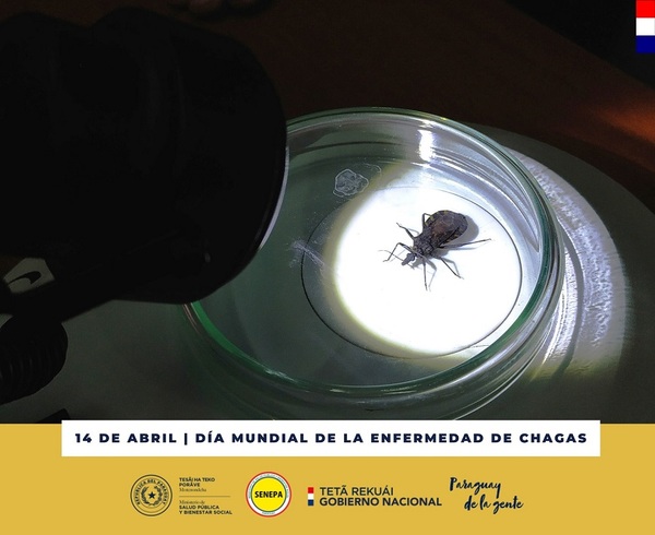 OÑONDIVEPA IKATU JAHAPEJOKO CHAGAS MBA´ASY - Itapúa Noticias