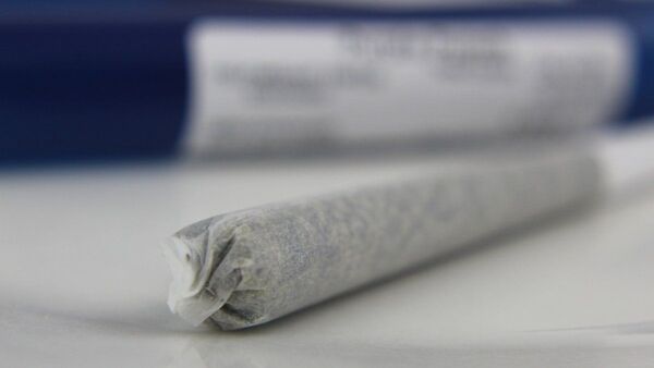 Hallan marihuana en bolsa que dejó una mujer en el Palacio de Justicia